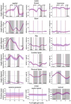 Fatigue-Related Changes in Spatiotemporal Parameters, Joint Kinematics and Leg Stiffness in Expert Runners During a Middle-Distance Run